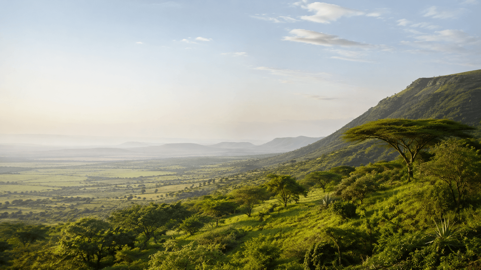 Ecosystem Restoration and Natural Resource Management